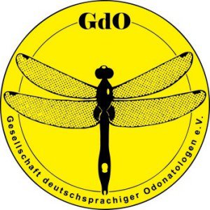 Logo-GdO