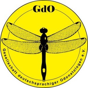 Logo-GdO