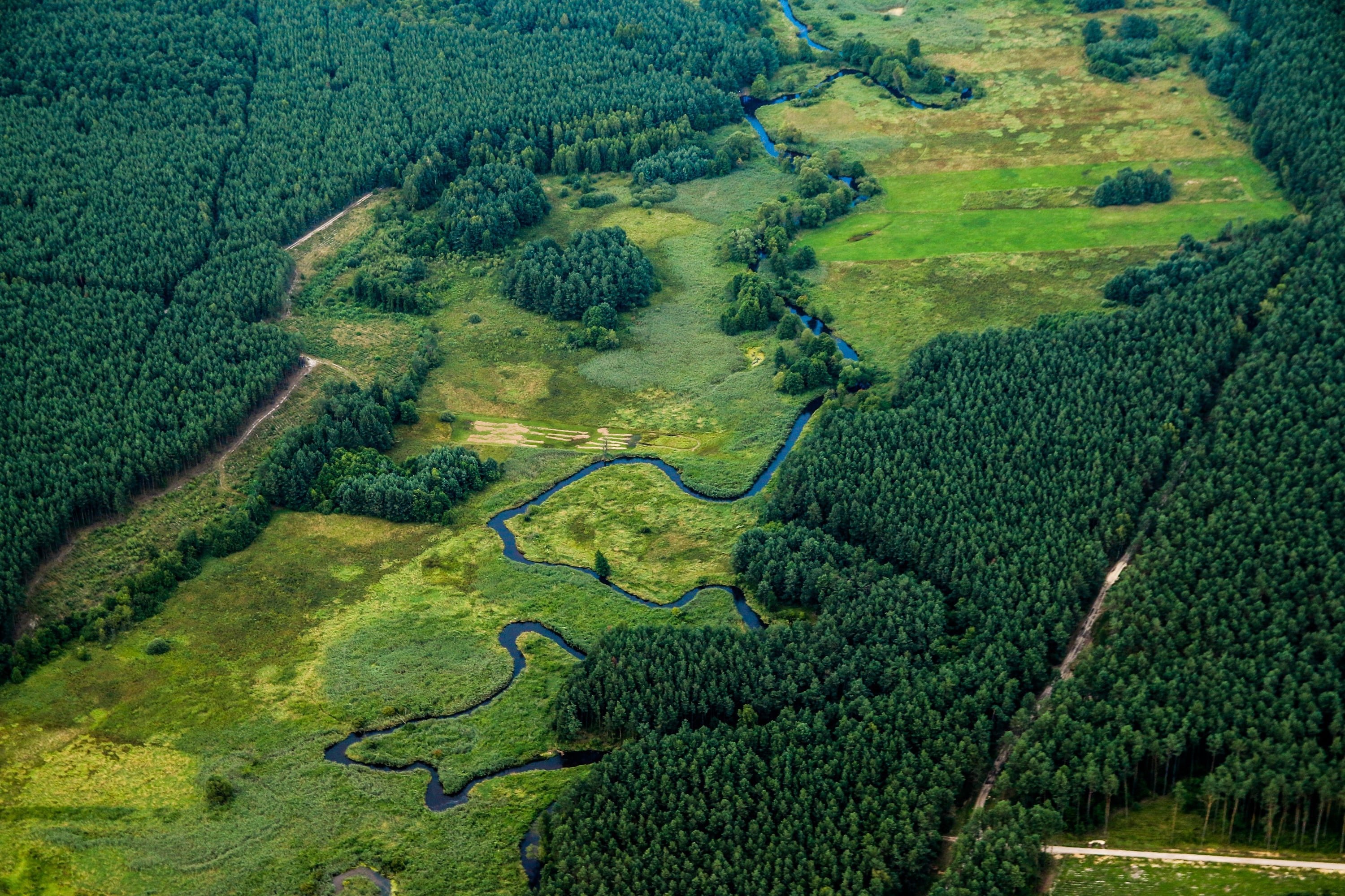 fluss-landschaft-natur-Polen-jarmoluk-pixabay