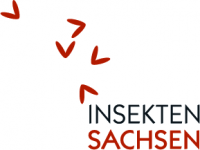logo_insekten-sachsen